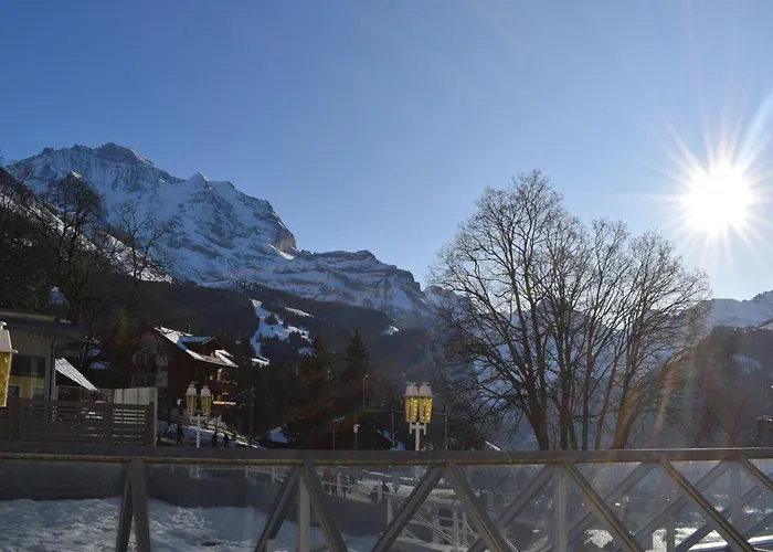 Jungfrauview דירה