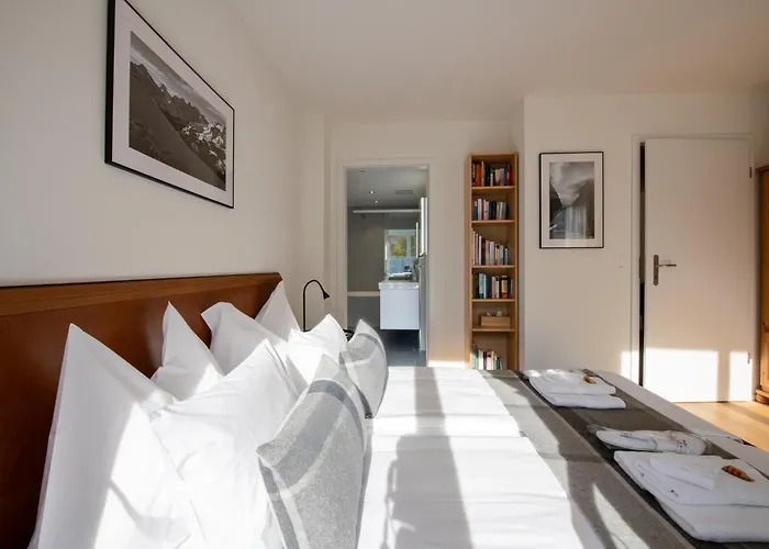 Jungfrauview 公寓 *